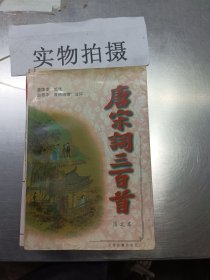 唐宋词三百首