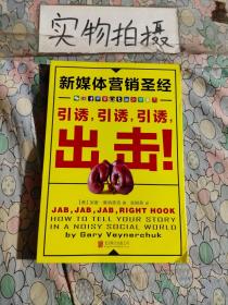 新媒体营销圣经（全彩）：引诱,引诱,引诱,出击!