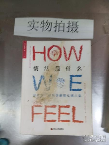 情绪是什么