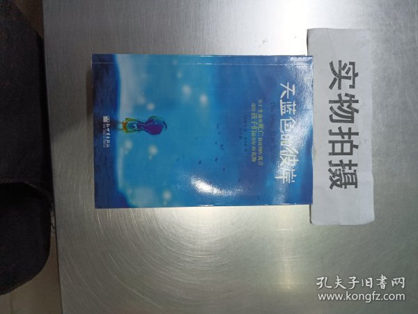 天蓝色的彼岸：关于生命和死亡最深刻的寓言