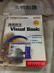 Visual Basic编程高手