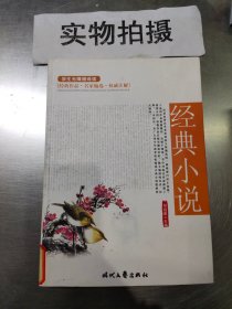 经典小说 ？