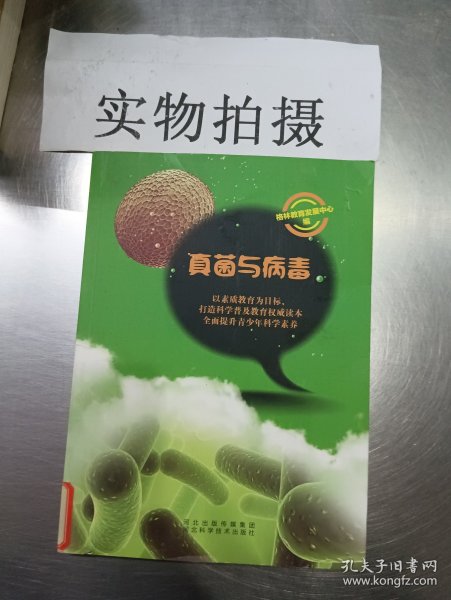 真菌与病毒