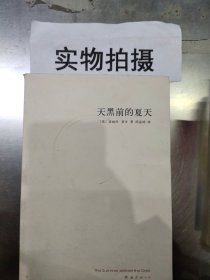 天黑前的夏天：新经典文库348；莱辛作品01