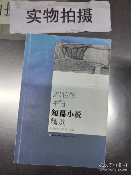 2019年中国短篇小说精选（2019中国年选系列）