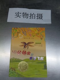 金龟虫在黄昏飞起