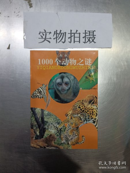 1000个动物之谜