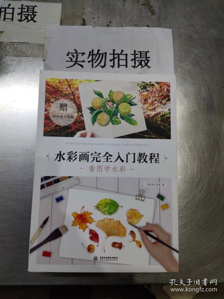 水彩画完全入门教程 看图学水彩