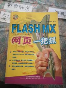 YT1010082 Flash MX网页一把抓