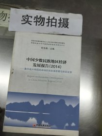 中国少数民族地区经济发展报告（2014）：集中连片特困民族地区的区域发展与扶贫攻坚