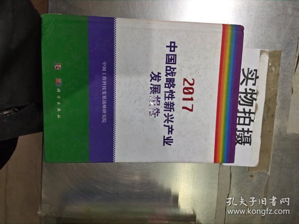 中国战略性新兴产业发展报告2017