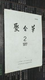 聚合草  1977.2