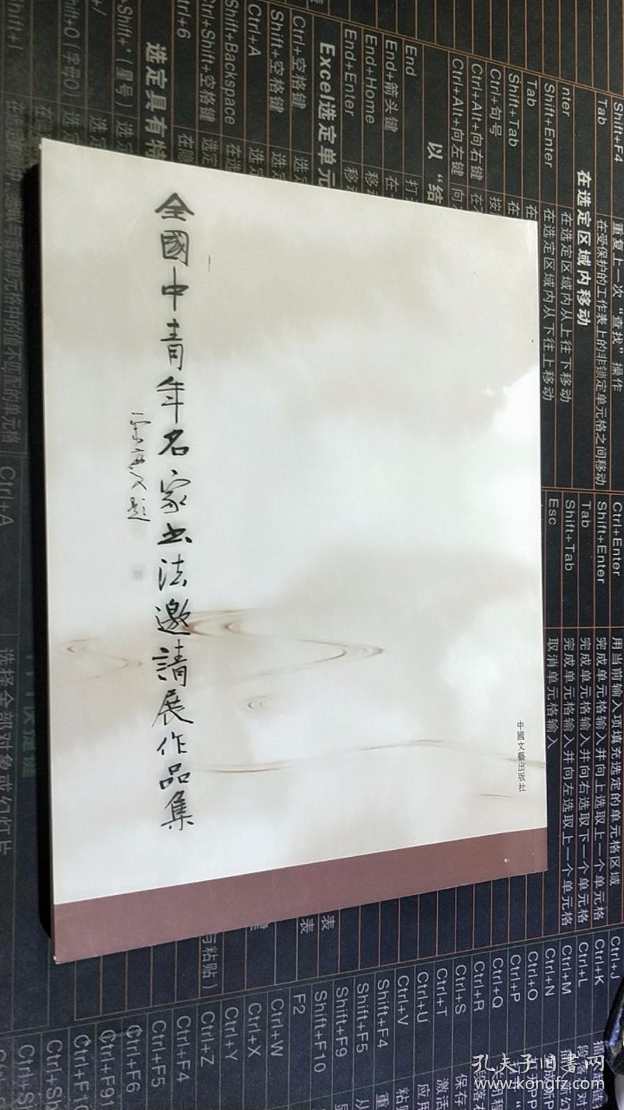 全国中青年名家书法邀请展作品集