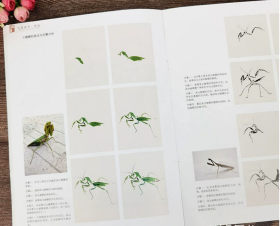 学一百通：草虫/中国画基础技法丛书·写意花鸟