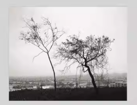 罗伯特·亚当斯：洛杉矶之春 Robert Adams: Los Angeles Spring