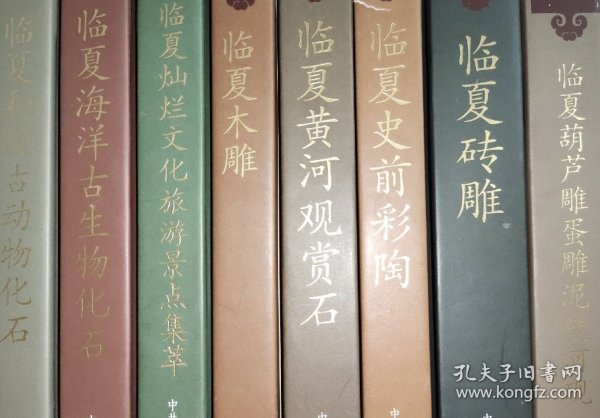 临夏灿烂文化系列画册（全八册）