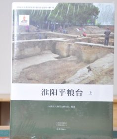 淮阳平粮台上下