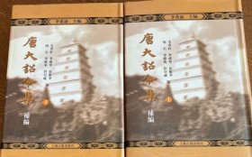 唐大詔令集補編（全二冊）