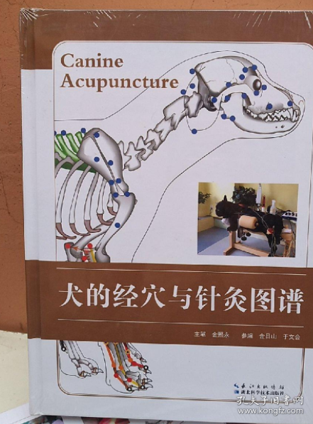 犬的经穴与针灸图谱