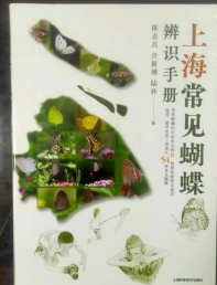 上海常见蝴蝶辨识手册正版