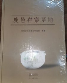 鹿邑崔寨墓地
