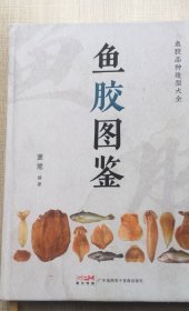 鱼胶图鉴