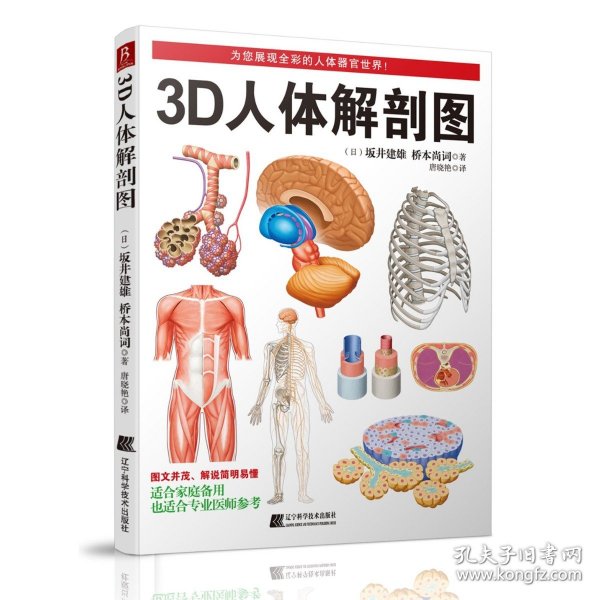 3D人体解剖图