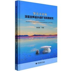 柴达木盆地(深层含钾卤水成矿与利用研究)(精)书李洪普等柴达木盆地钾盐矿床成矿研究柴达普通大众自然科学书籍