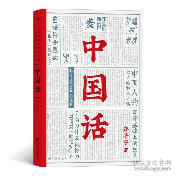 后浪正版 中国话 郑子宁著 得到2021年度好书 语言学科普 九大领域 历史文化语言学习书籍 汉语方言民族文化书籍