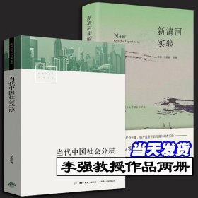 李强教授作品两册 当代中国社会分层+新清河实验 中国社会学经典文库  小镇喧嚣 生活书店出版公司 解决基层治理问题