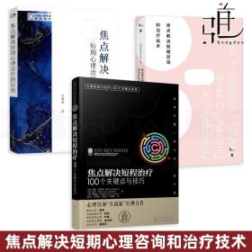 心理咨询与治疗100个关键点译丛：焦点解决短程治疗（100个关键点与技巧）