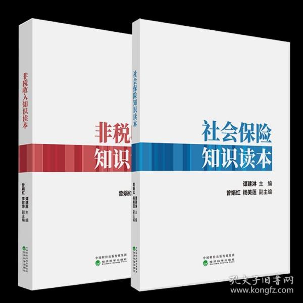 财政原理与比较财政制度(当代经济学系列·当代经济学教学参考书系)