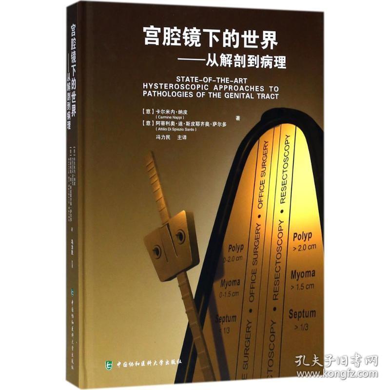 正版 宫腔镜下的世界 从解剖到病理 冯力民著 中国协和医科出版社9787567909663