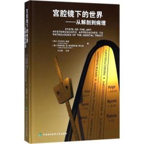 正版 宫腔镜下的世界 从解剖到病理 冯力民著 中国协和医科出版社9787567909663