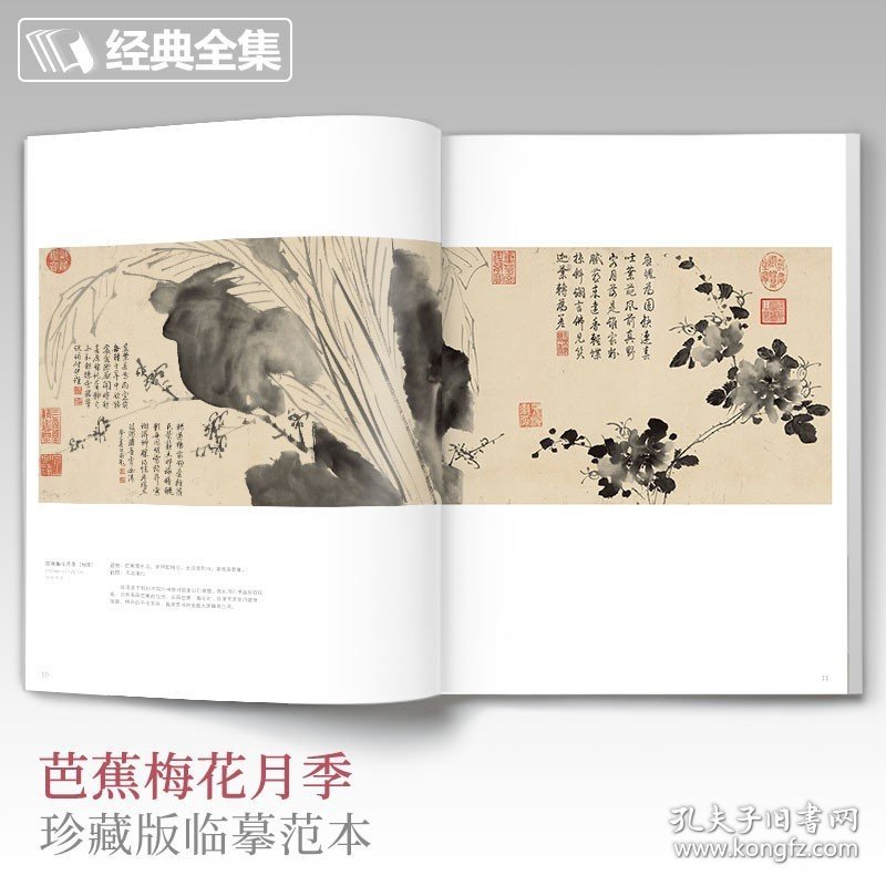 经典全集 徐渭画集 8开中国画临摹画册书籍写意泼墨水墨国画杂花图花鸟技法教材程高清临本册页 初学者花卉名作赏析鉴赏杨建飞主编