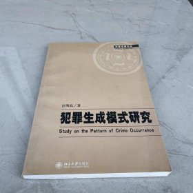 犯罪生成模式研究