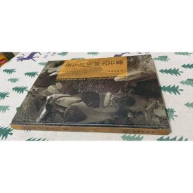 安宁河流域大石墓