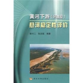 黄河下游（河南段）悬河稳定性评价