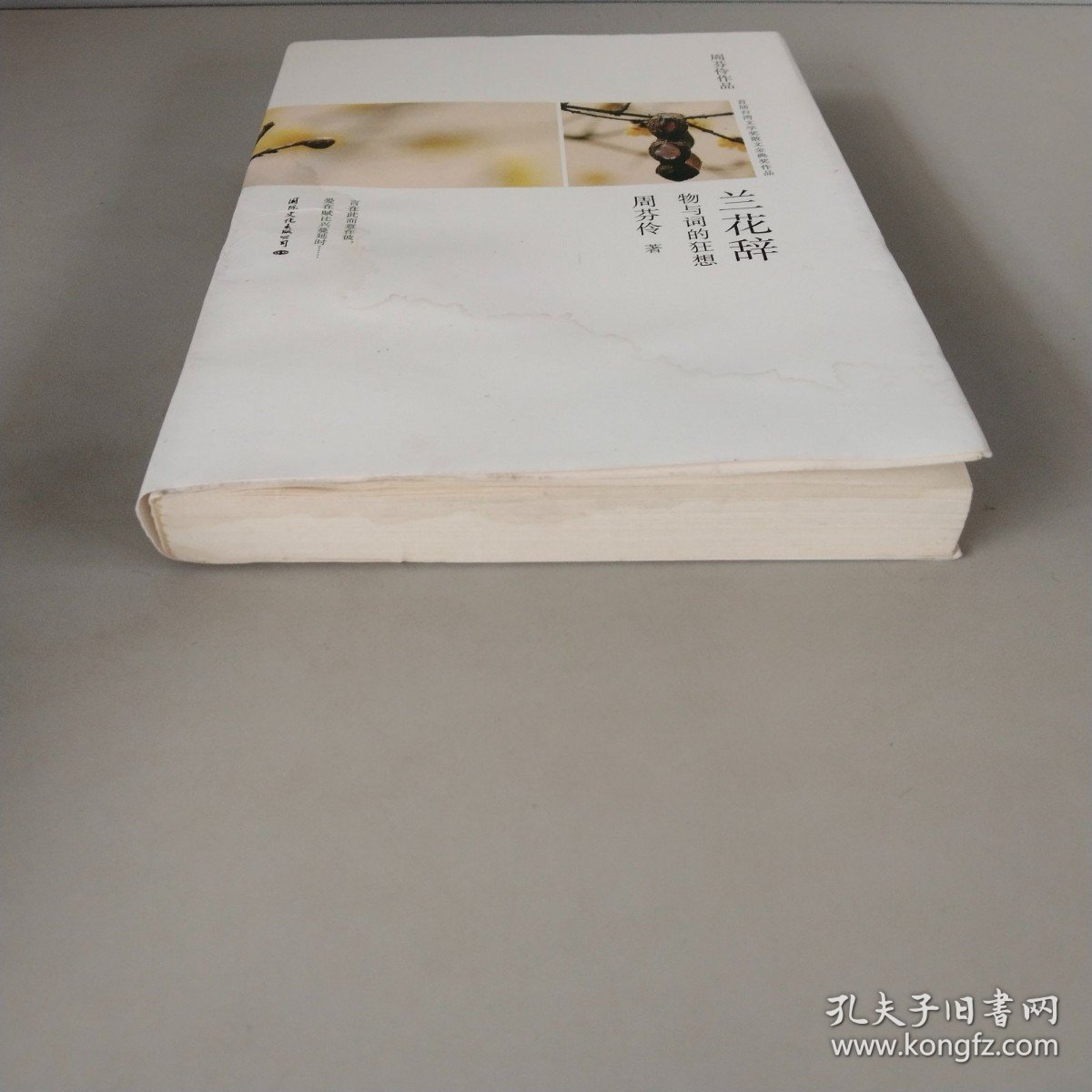 兰花辞--物与词的狂想（一本关于情感、美食、物品、时尚体验的经典之作）台湾散文名家周芬伶散文代表作