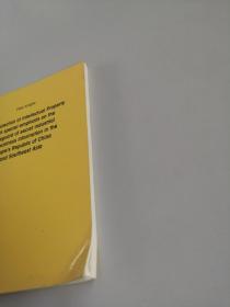 The Protection of Itellectual Property