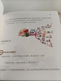 思维导图说中国传统文化，思维导图说二十四节气，思维导图说中国传统节日（3本合售）