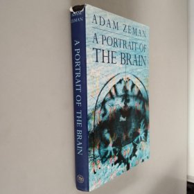 adam zeman a portrait of the brain