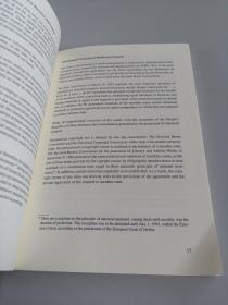 The Protection of Itellectual Property