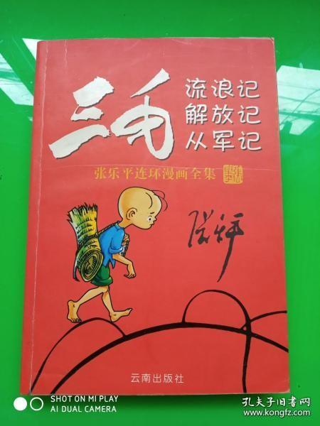 张乐平连环漫画全集【三毛流浪记 解放记 从军记】