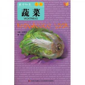 教学知本·色彩：蔬菜