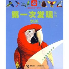 透视眼系列·动物类·第一次发现丛书：《鹦鹉》《熊猫》《七星瓢虫》三本合售