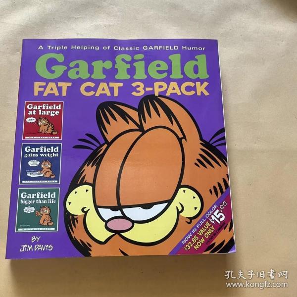 Garfield Fat Cat 3-Pack[加菲猫肥猫,第1卷]