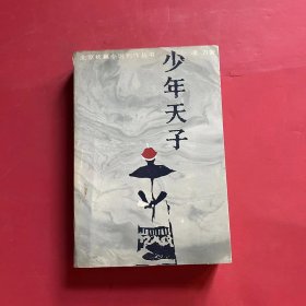 北京长篇小说创作丛书——少年天子