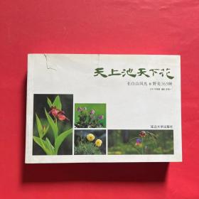 天上池　天下花 : 长白山风光和野花365种