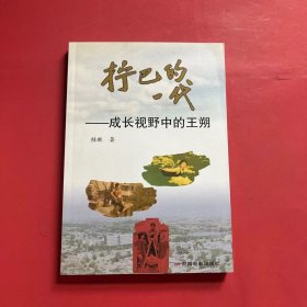 拧巴的一代:成长视野中的王朔